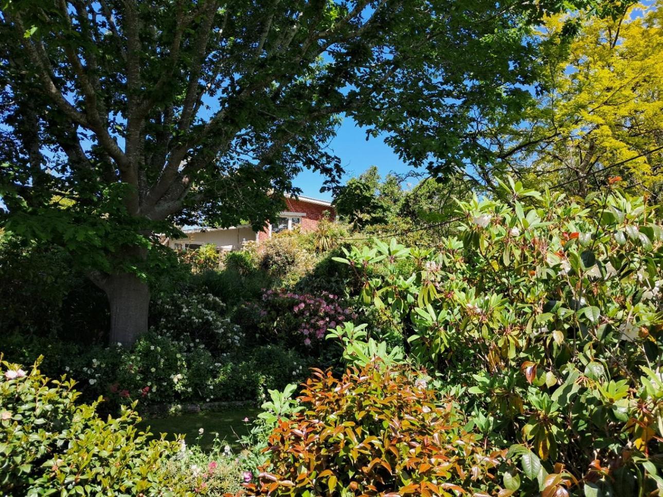 Bed and Breakfast Niloc Waimate Экстерьер фото
